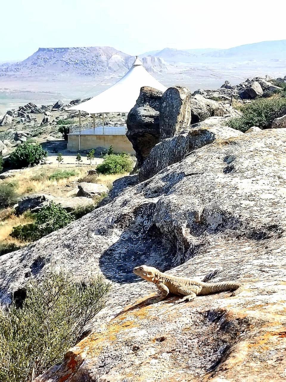 Baku "Black Mountain" Guest House Sangachal Luaran gambar